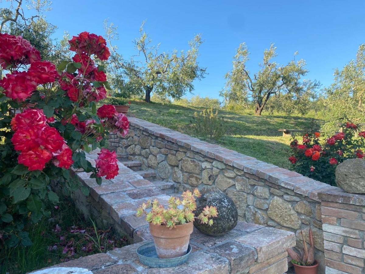 Agriturismo Casallario Volterra Eksteriør bilde