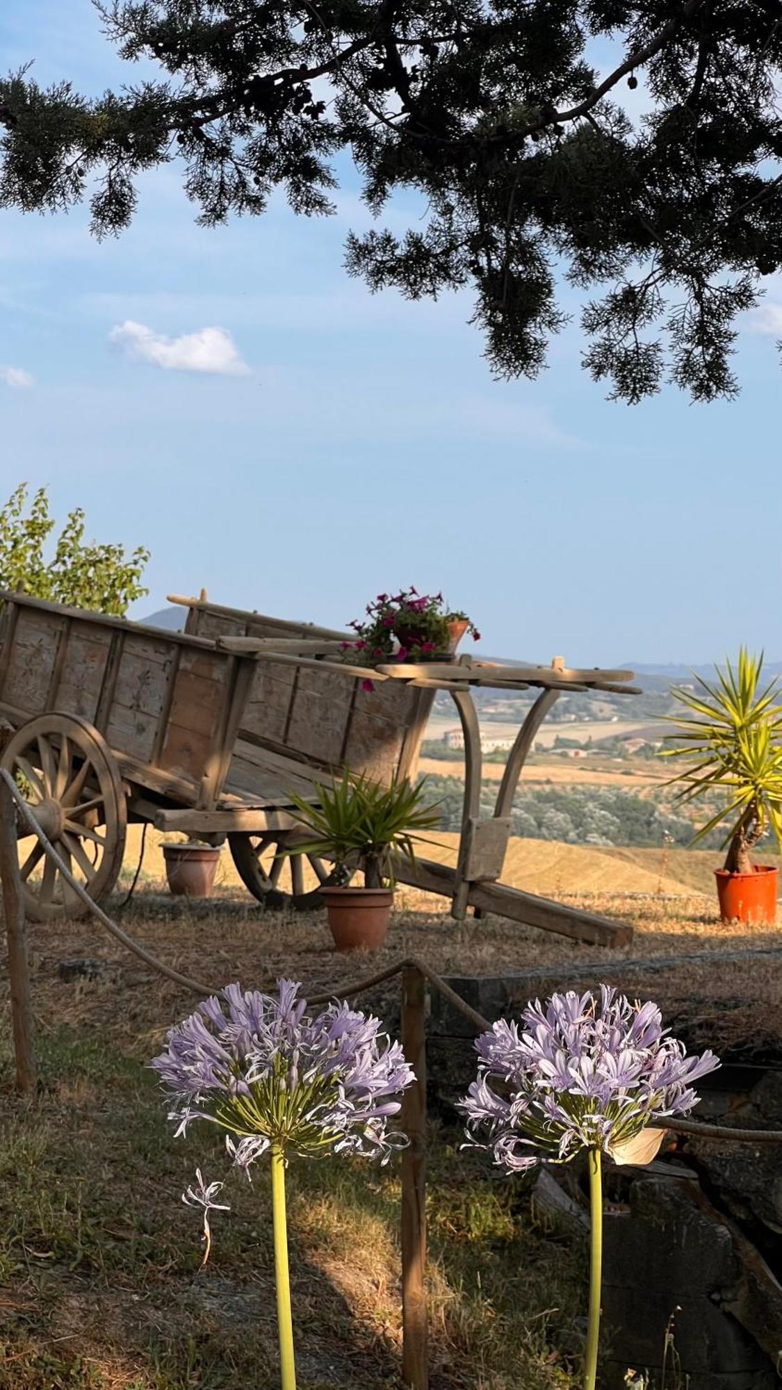 Agriturismo Casallario Volterra Eksteriør bilde